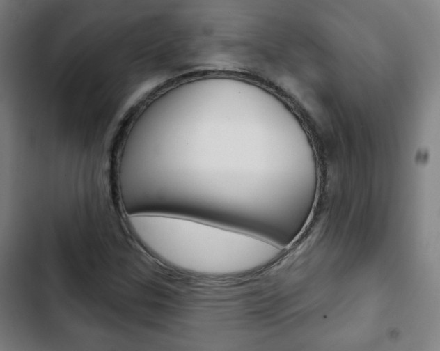 X0000103321307200809050950