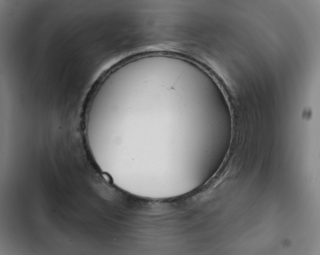 X0000103321308200809050950