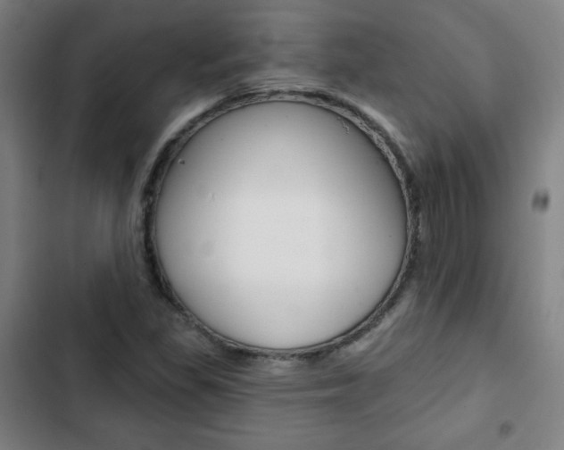 X0000103321309200809050950