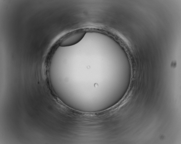 X0000103321310200809050950