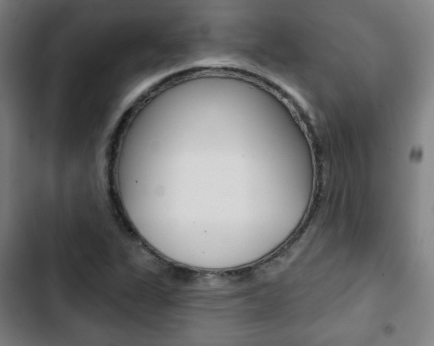 X0000103321311200809050950