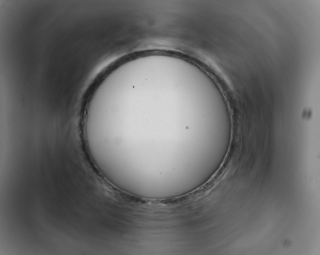 X0000103321312200809050950