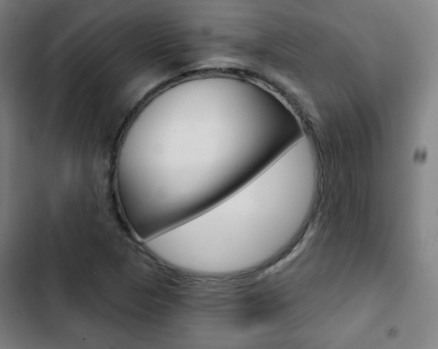 X0000103321313200809050950