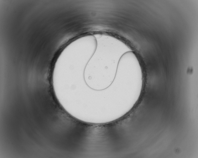 X0000103321314200809050950