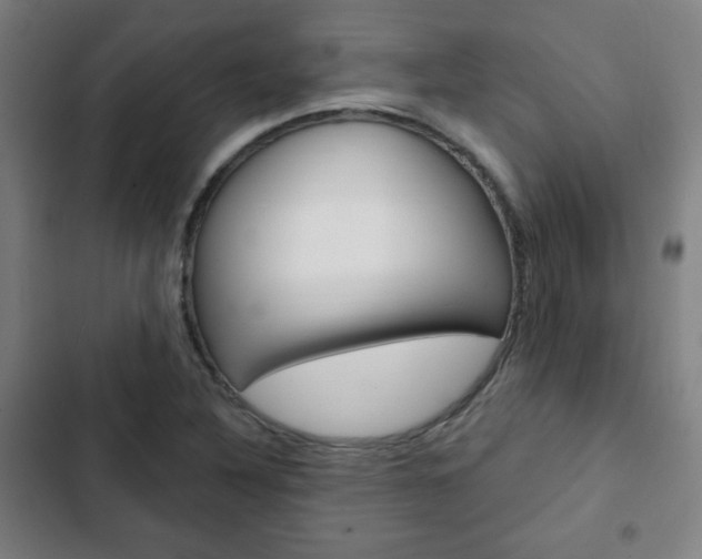 X0000103321316200809050950