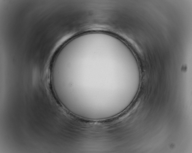 X0000103321317200809050950