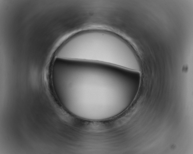 X0000103321319200809050950