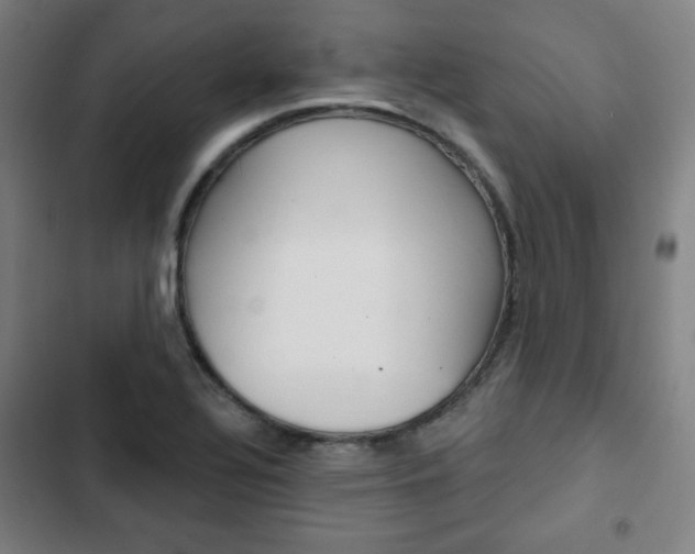 X0000103321320200809050950