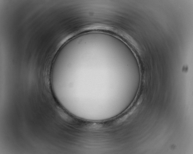 X0000103321321200809050950