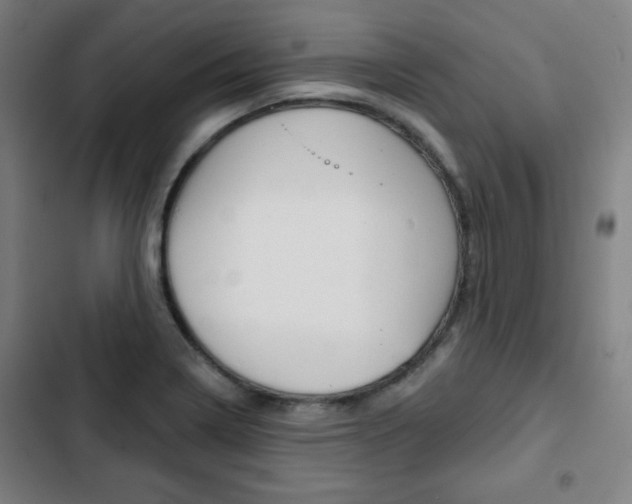 X0000103321322200809050950