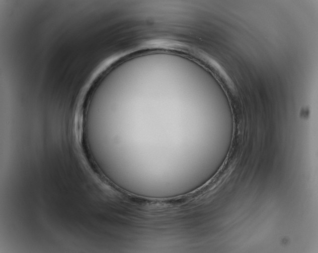 X0000103321323200809050950