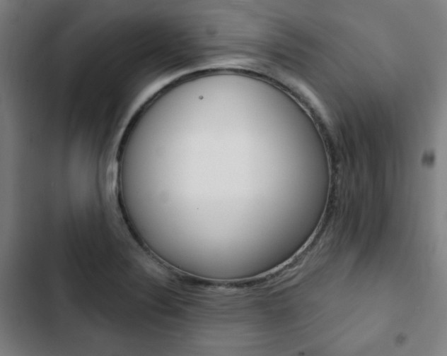 X0000103321324200809050950