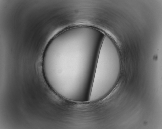 X0000103321325200809050950