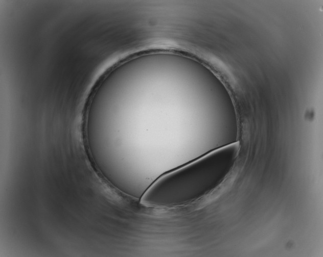 X0000103321326200809050950