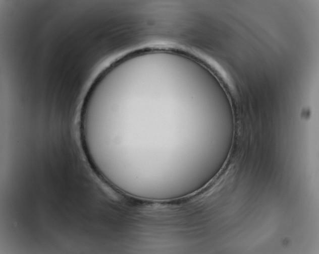X0000103321327200809050950