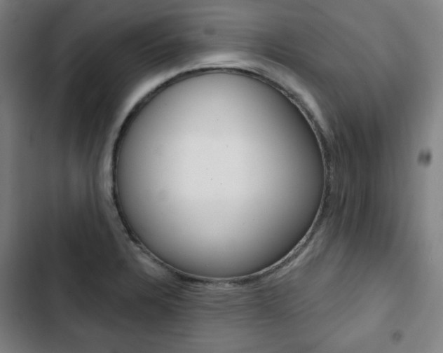 X0000103321328200809050950