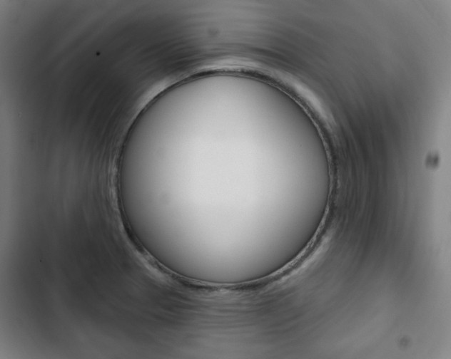X0000103321329200809050950