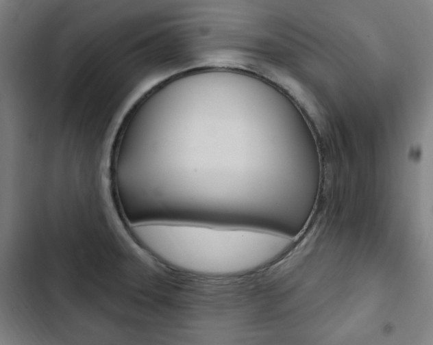X0000103321331200809050951