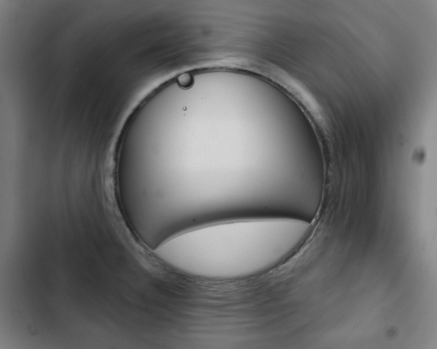X0000103321332200809050951