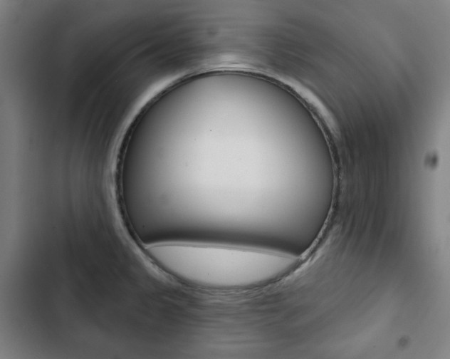X0000103321333200809050951