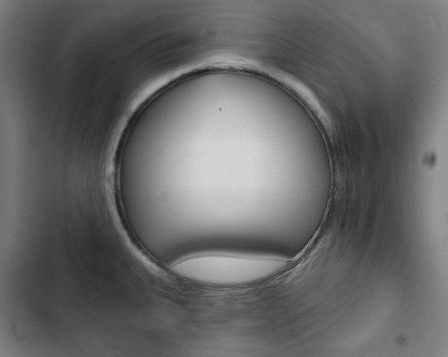 X0000103321335200809050951