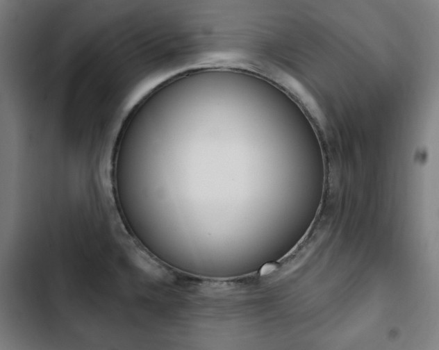 X0000103321336200809050951