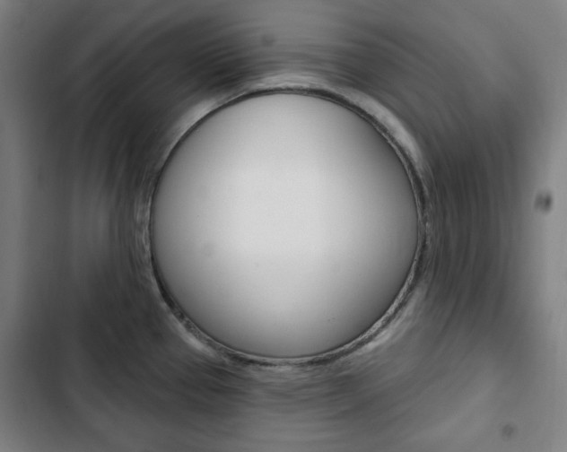 X0000103321337200809050951