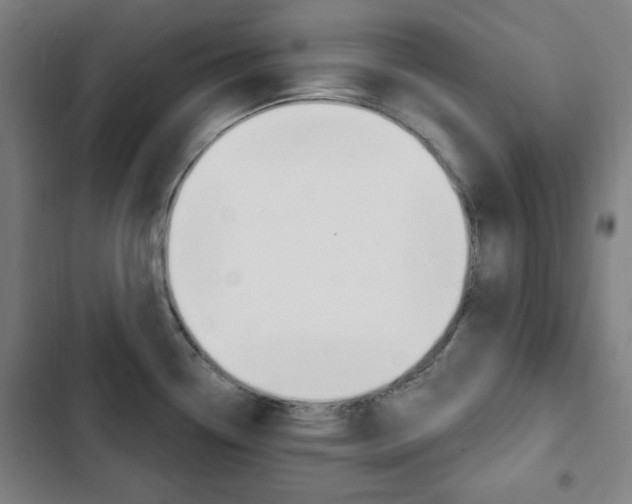 X0000103321338200809050951