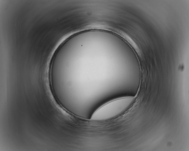 X0000103321339200809050951