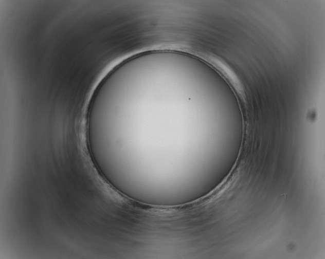 X0000103321340200809050951