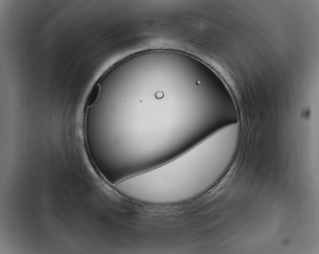X0000103321342200809050951