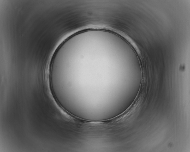X0000103321343200809050951