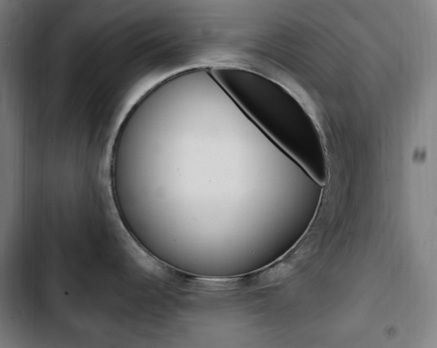 X0000103321344200809050951