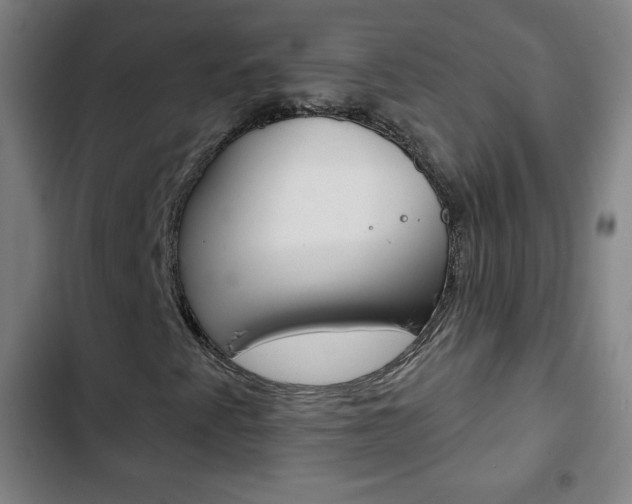 X0000103321345200809050950