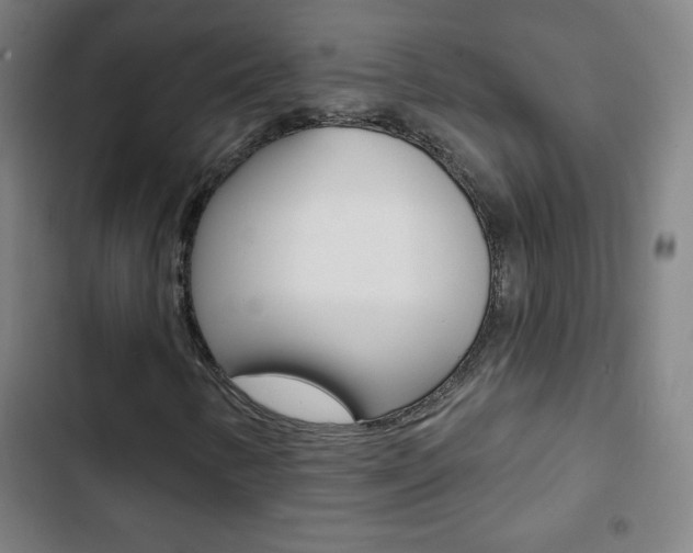X0000103321346200809050950