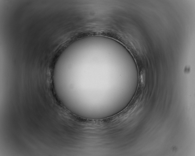X0000103321347200809050950