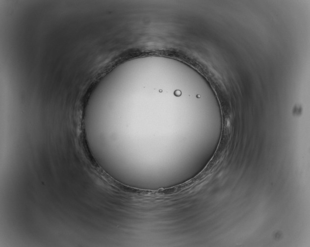 X0000103321348200809050950