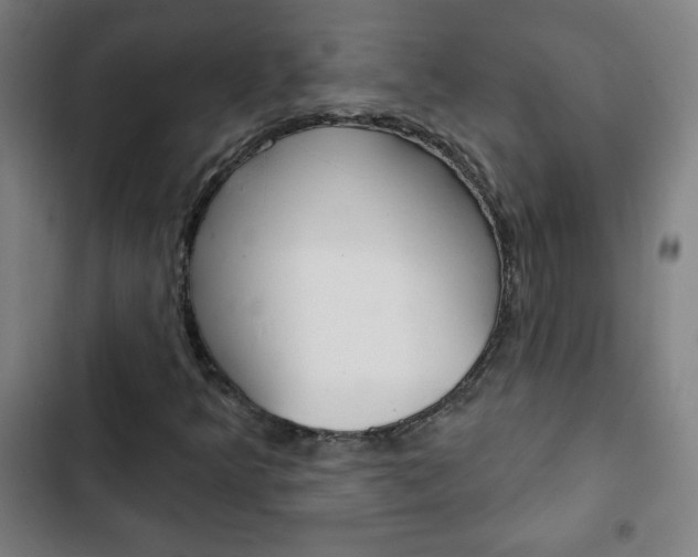 X0000103321349200809050950