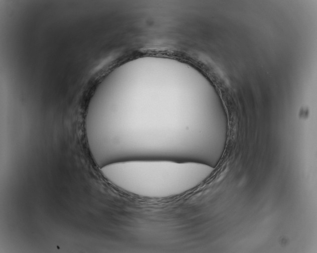 X0000103321350200809050950