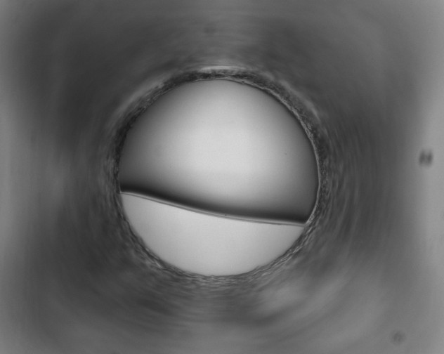 X0000103321351200809050950
