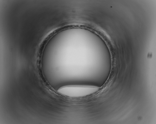 X0000103321352200809050950