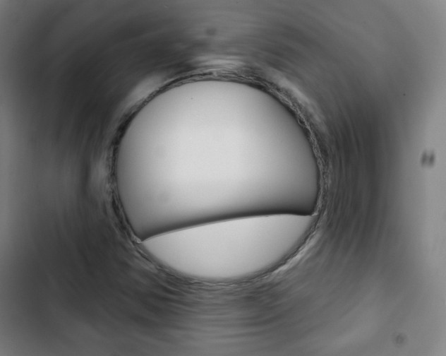 X0000103321354200809050950
