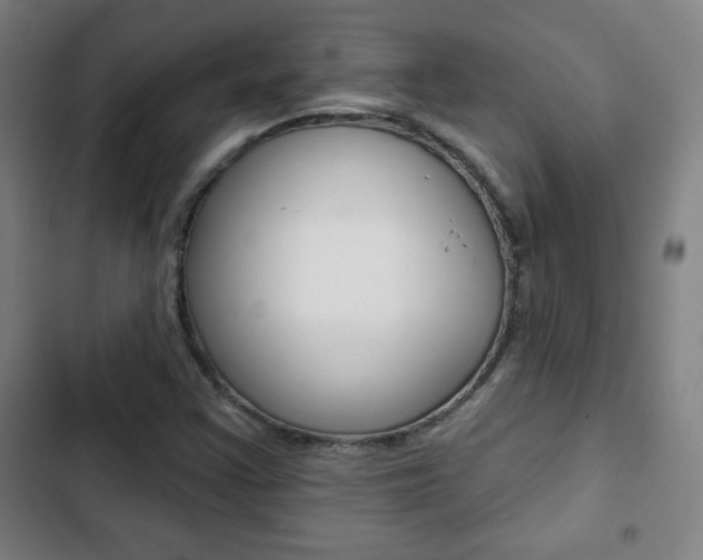 X0000103321355200809050950