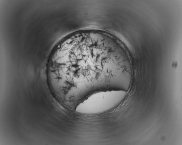 X0000103321356200809050950