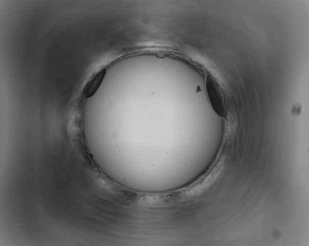 X0000103321357200809050950