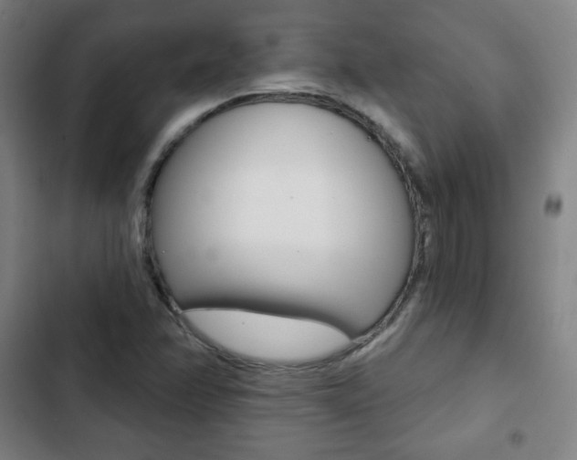 X0000103321358200809050950