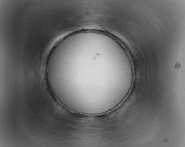 X0000103321359200809050950