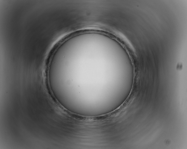 X0000103321360200809050950
