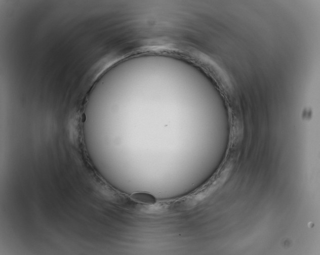 X0000103321361200809050950