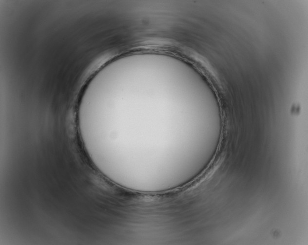 X0000103321362200809050950